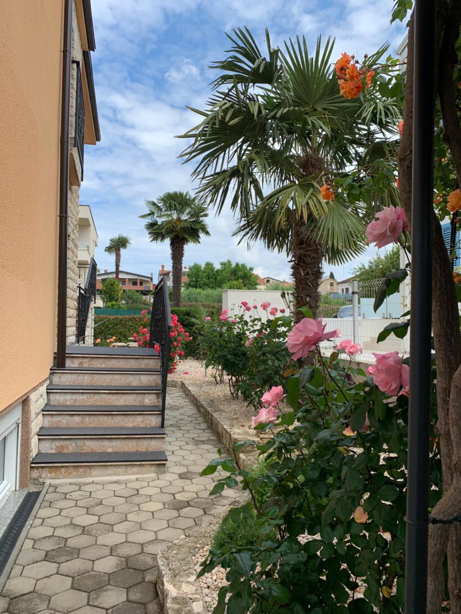 Apartments Kivi Novigrad  Exterior photo