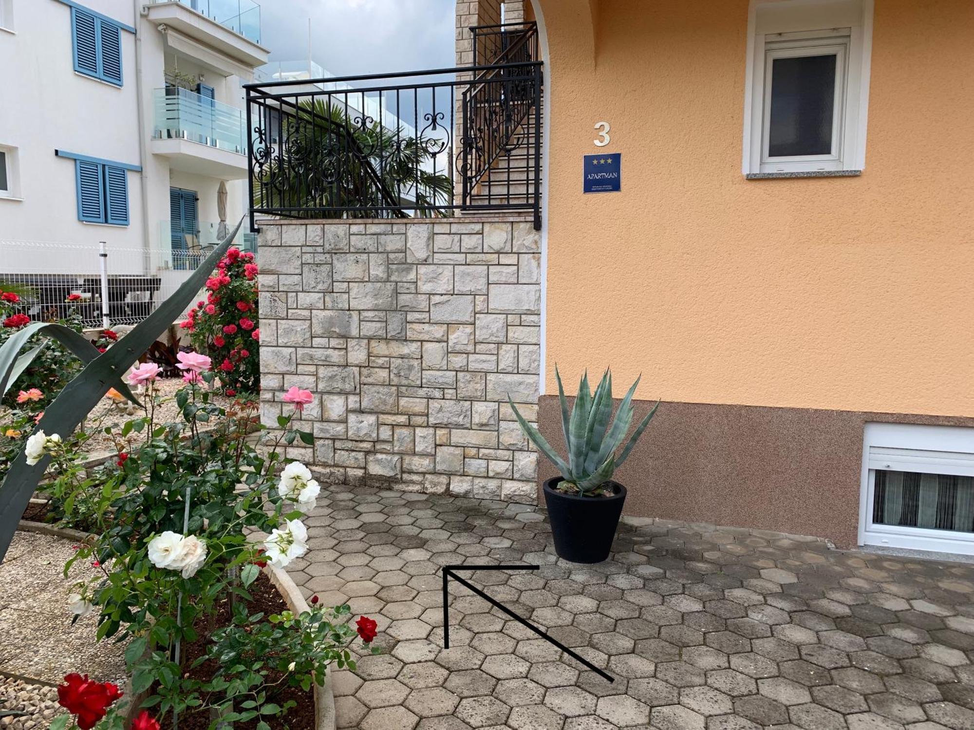 Apartments Kivi Novigrad  Exterior photo
