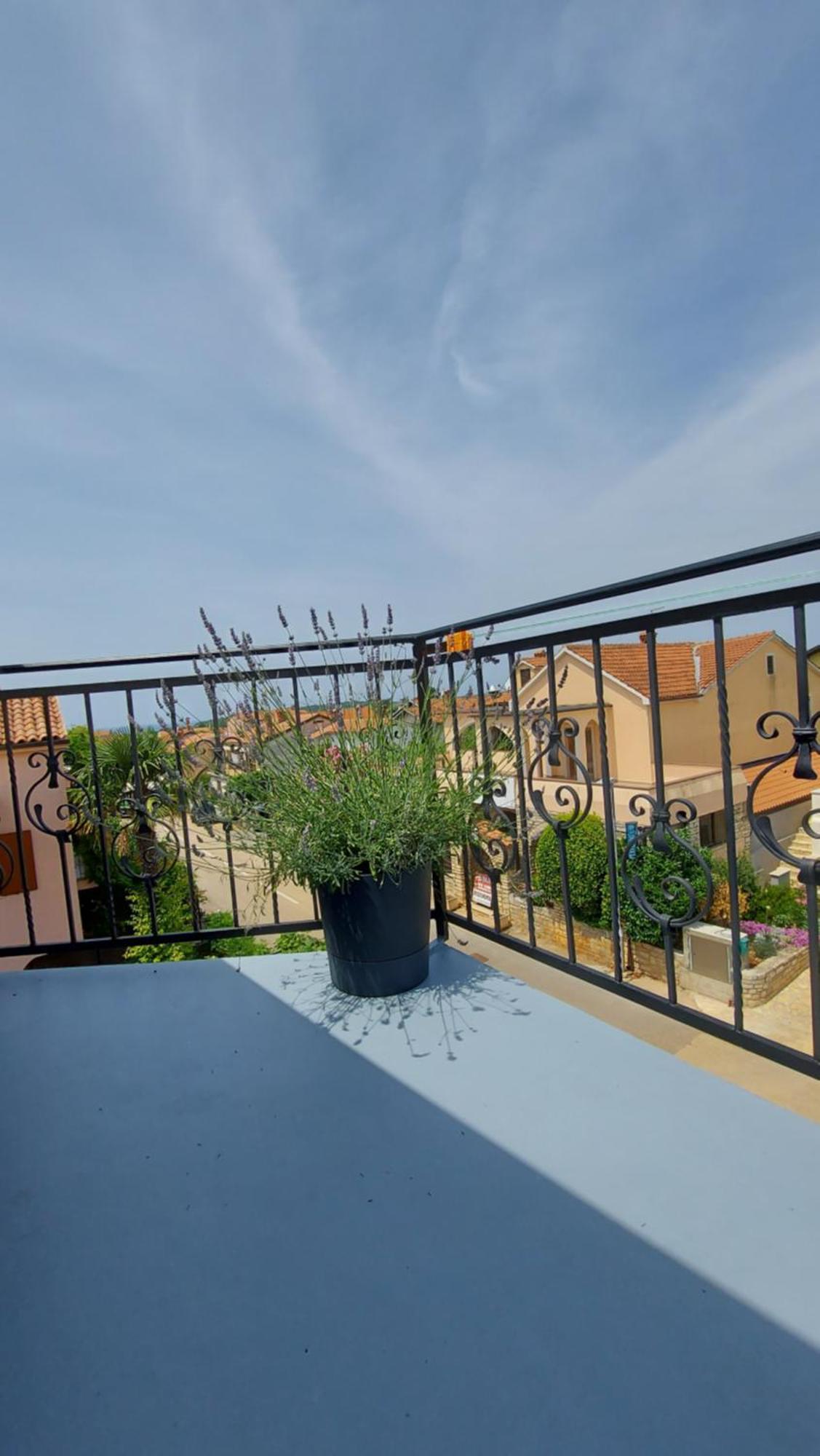 Apartments Kivi Novigrad  Exterior photo